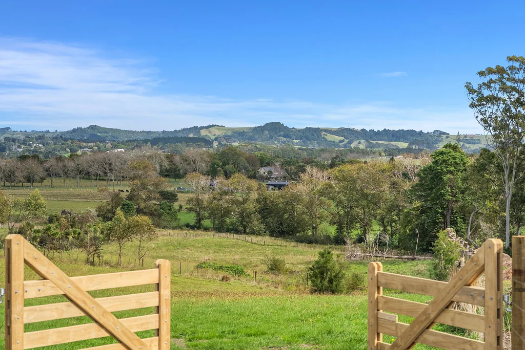 Taupaki A blank canvas for your lifestyle Dream!