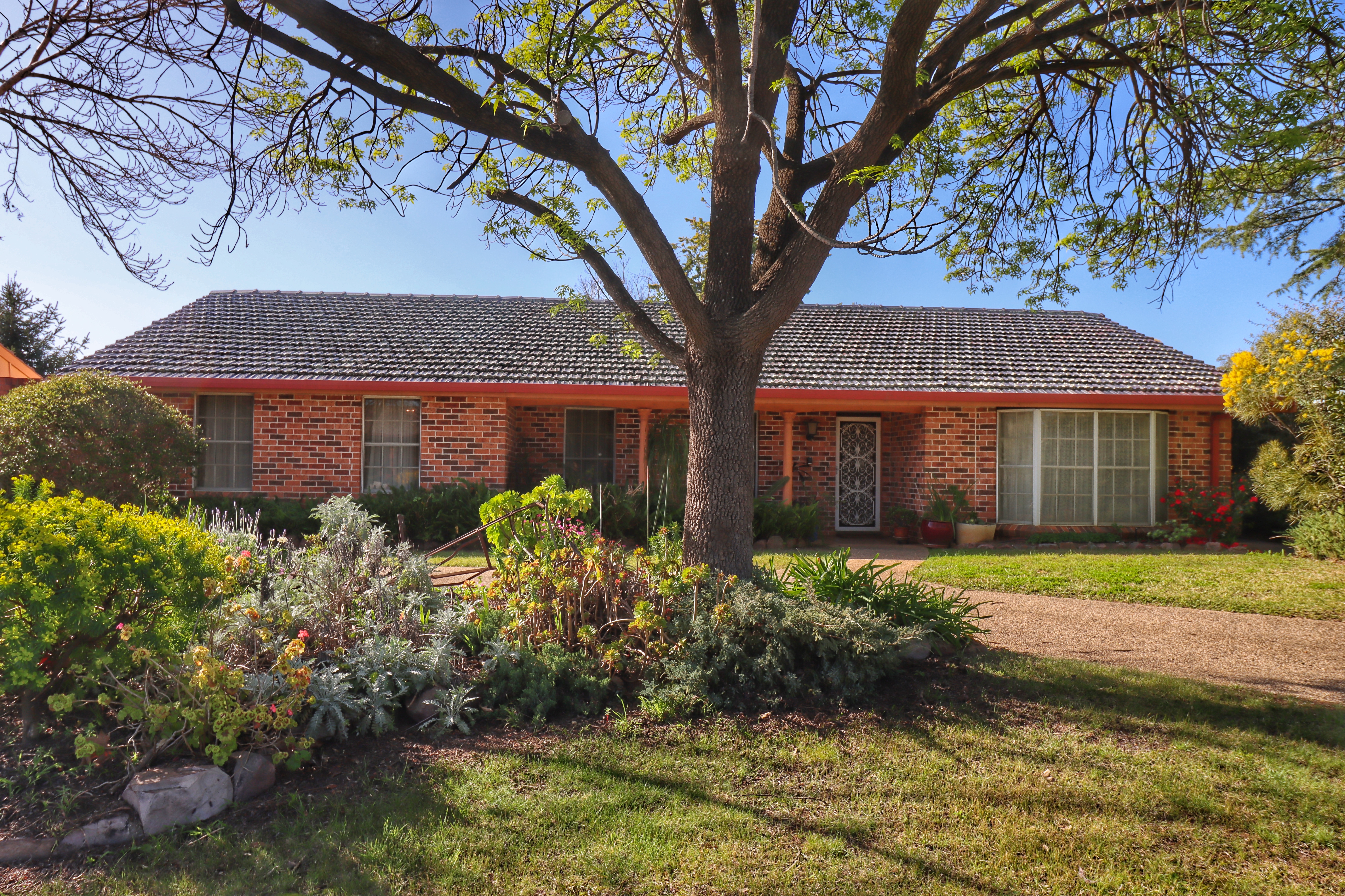 19 TARONGA DR, COWRA NSW 2794, 0 Schlafzimmer, 0 Badezimmer, House