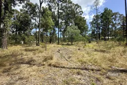 Lot 415 Arborthirteen Road, Glenwood