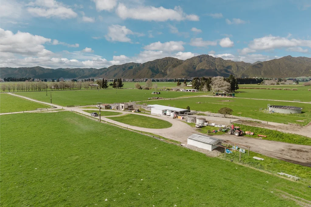 Murupara Surrounds  Prime dairy opportunity in Galatea on three titles