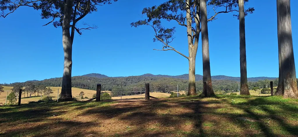 Coffs Harbour  YOUR DREAM RURAL LIFESTYLE BLOCK AWAITS YOU IN THE COFFS HINTERLAND!
