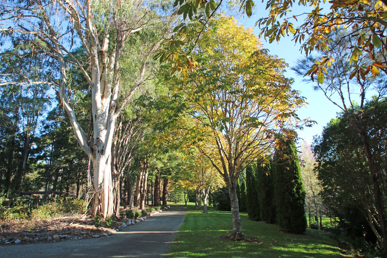 57 Upper Tukurua Road, Parapara, Tasman, 6 Kuwarto, 0 Banyo