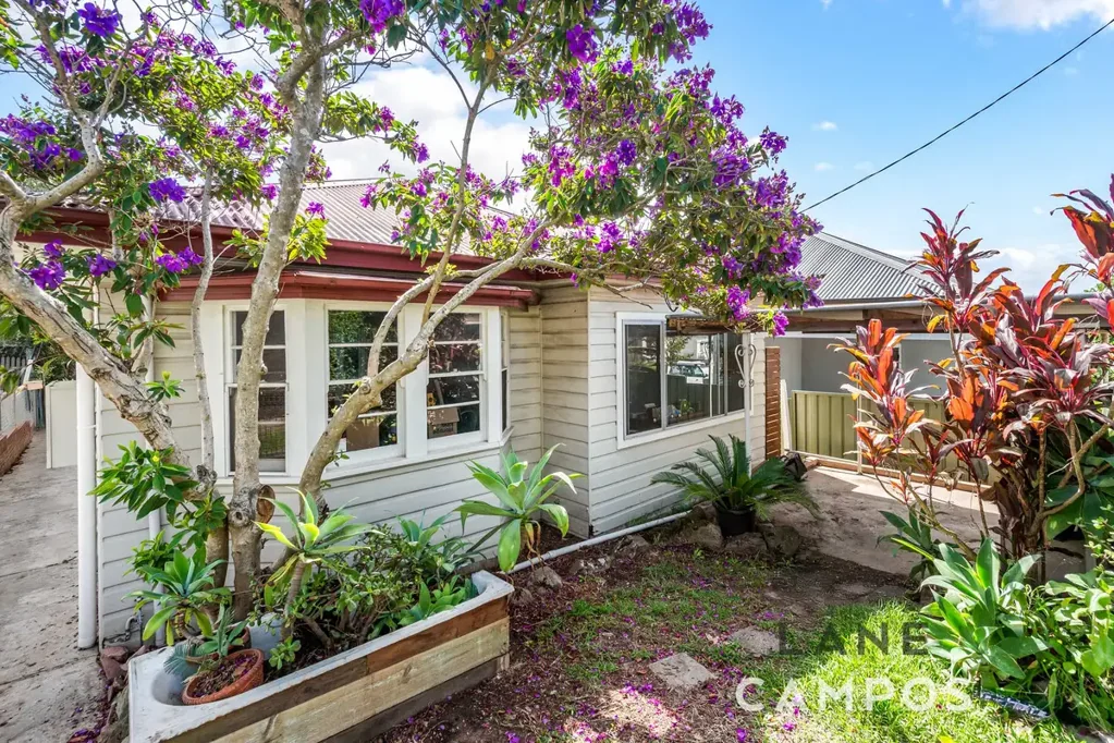 88 Woodstock Street, Mayfield, NSW 2304
