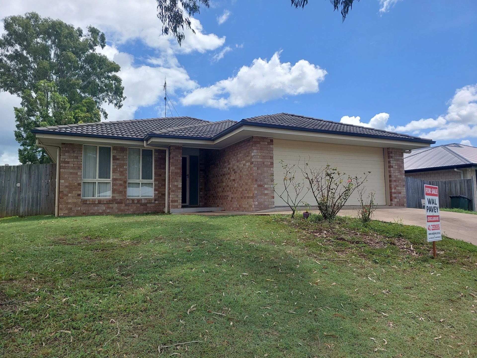 43 CHEYNE CCT, TINANA QLD 4650, 0 habitaciones, 0 baños, House