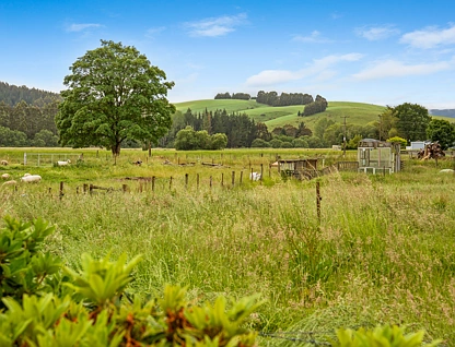 1 Boyldon Street, Waitahuna, Clutha, 0 રૂમ, 0 બાથરૂમ, Section