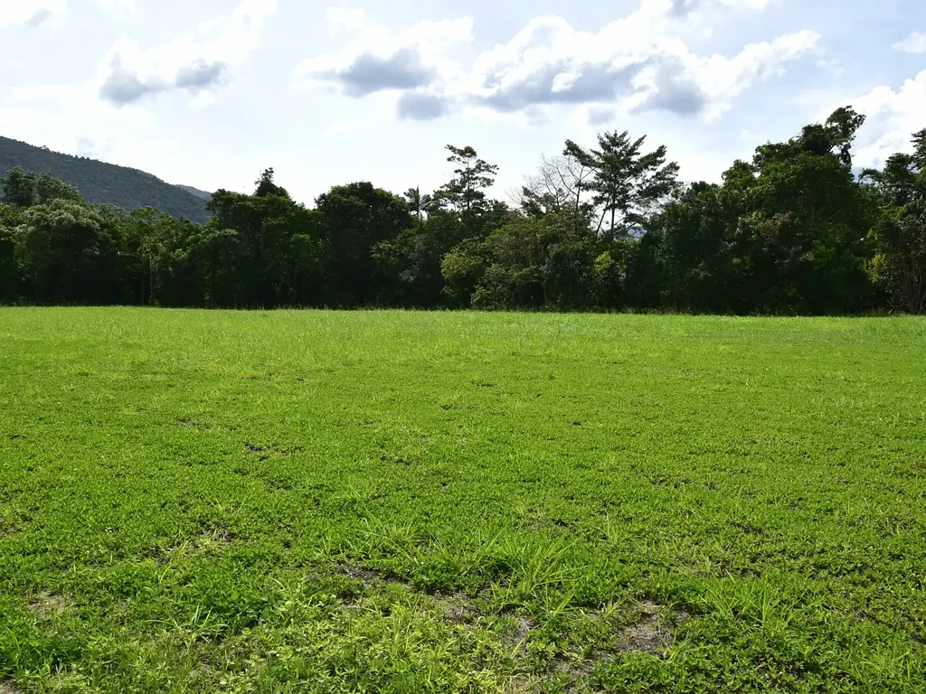L6 Keir Rd, Tully, QLD 4854
