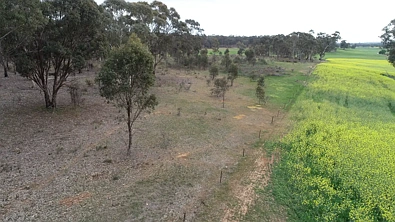 CA 14 Sunraysia Highway, Stuart Mill, VIC 3477, 0 Schlafzimmer, 0 Badezimmer, Lifestyle Property
