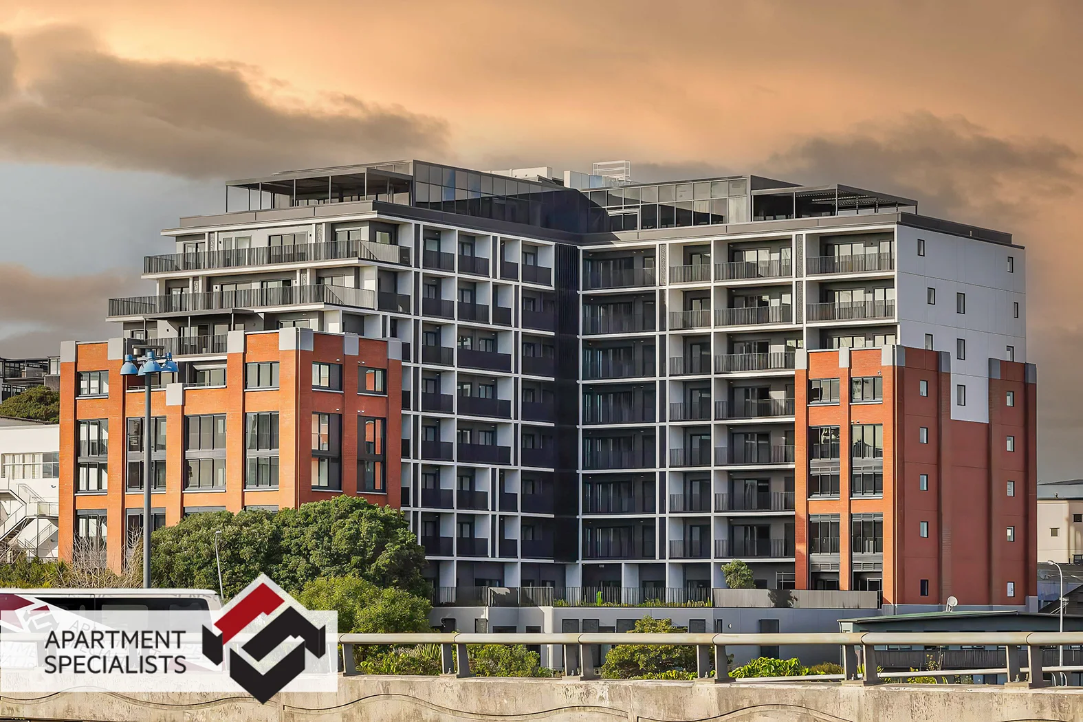 59 France Street, Eden Terrace, photo 17