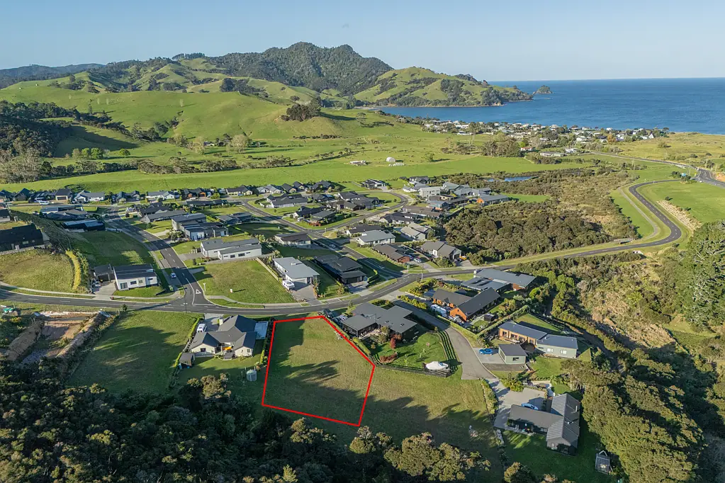 Whitianga Bush, beach, and everything in reach