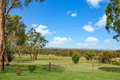 Stawell Free As A Bird
