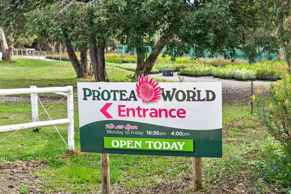 Mount Compass Protea World | An Award-Winning Nursery Estate of Distinction