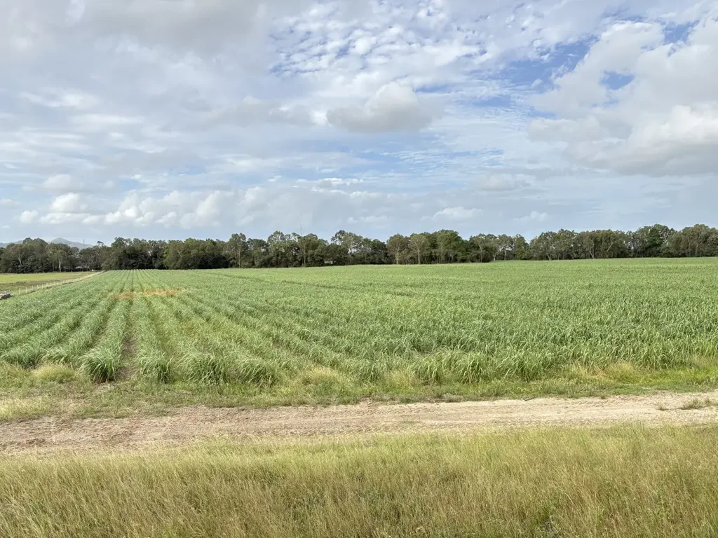 Oakenden Private 46-Acre Block with Water & Potential