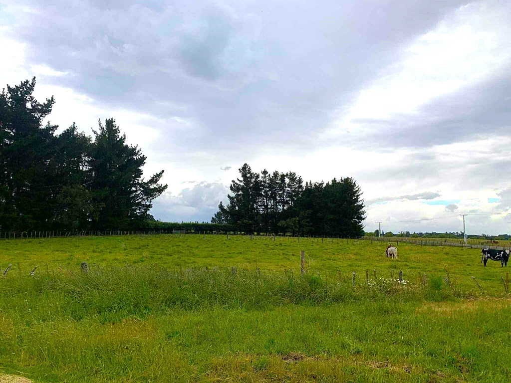 Tikokino Exceptional Development Opportunity