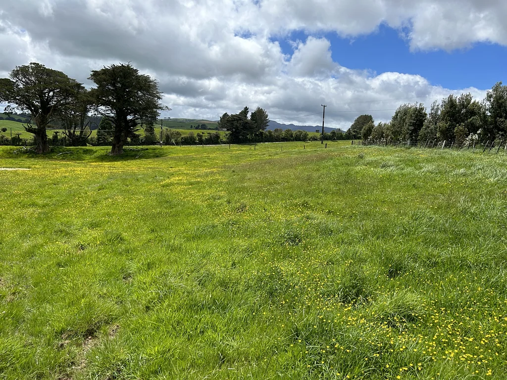Pirongia  Farming, fishing, fresh air and freedom