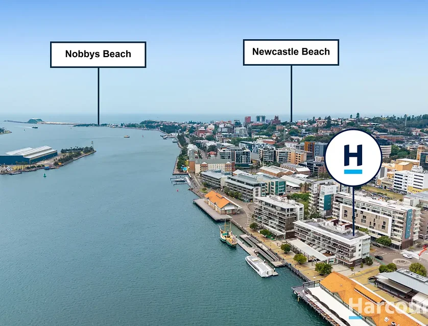 107/7 Honeysuckle Drive, Newcastle, NSW 2300, 1 rūma, 1 rūma horoi, Apartment