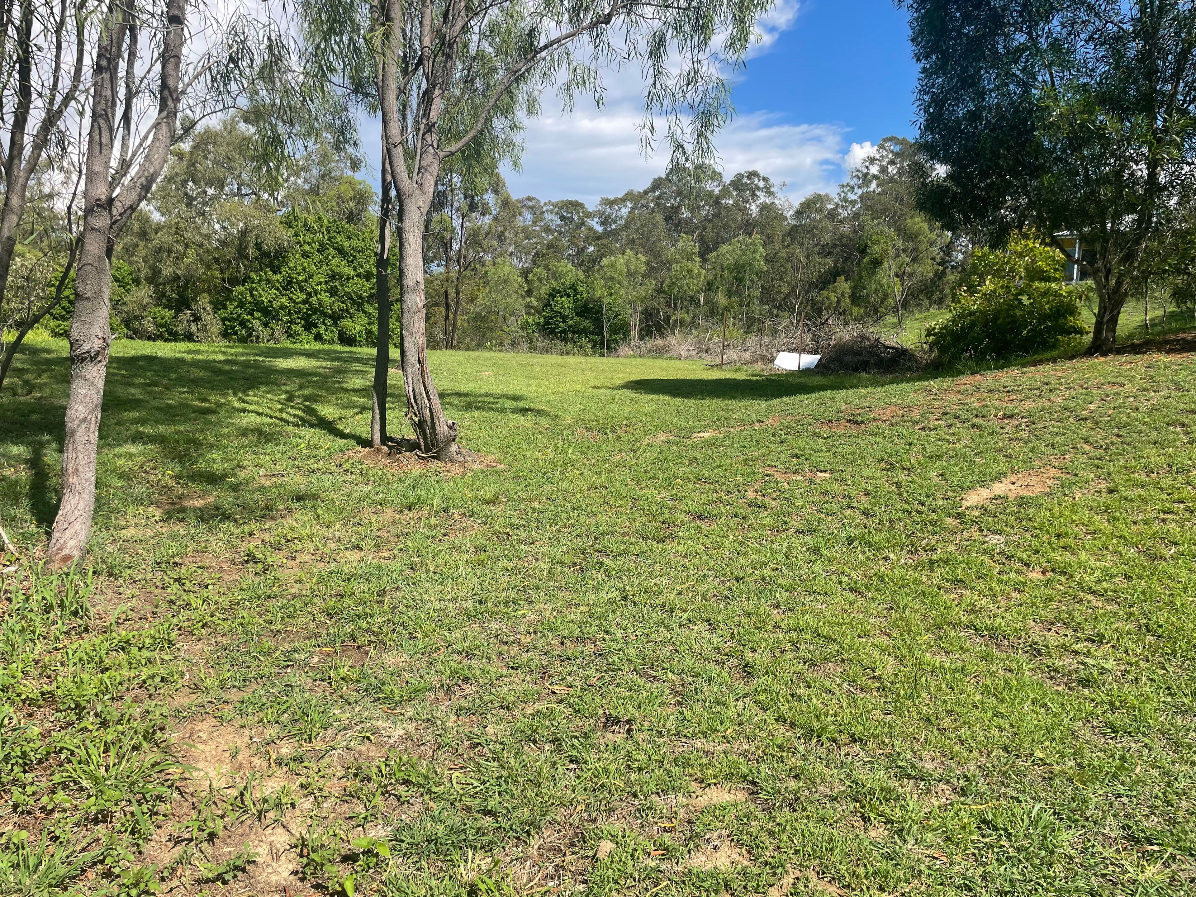 8 BUHSE CT, LAIDLEY QLD 4341, 0 રૂમ, 0 બાથરૂમ, Section