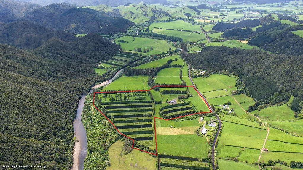 Hikuai  Orchard, grazing and future options