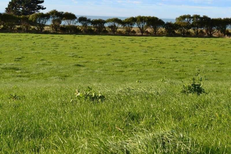 Waimate Highway, Glenavy, Waimate, 0房, 1浴