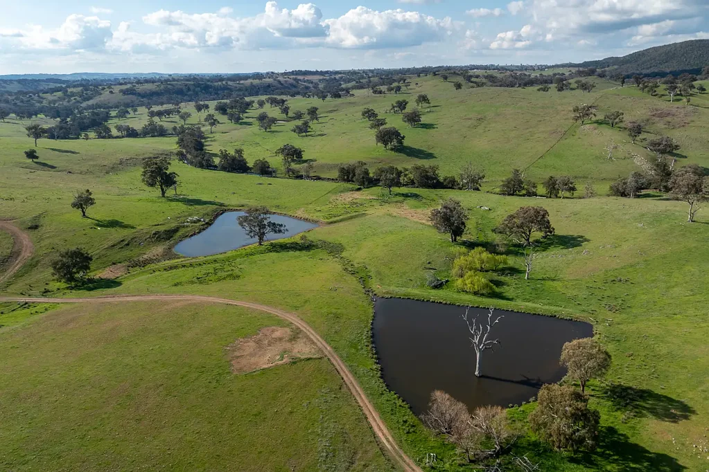 Bowan Park "Spring Creek" Bowan Park - 550 acres, dual creek frontage, building entitlements
