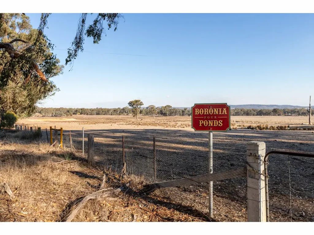 Chiltern “Boronia Ponds” | 41.5ha of Prime Farmland on the Edge of Chiltern