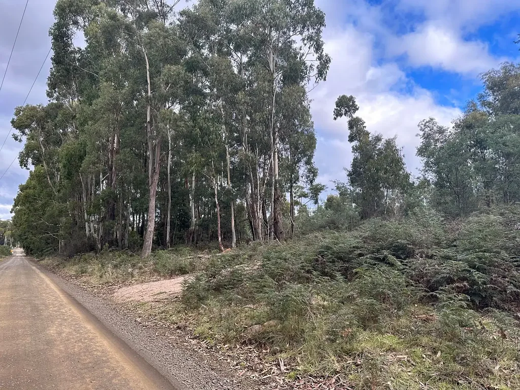 Reedy Marsh A Picturesque Rural Escape Just Minutes from Deloraine