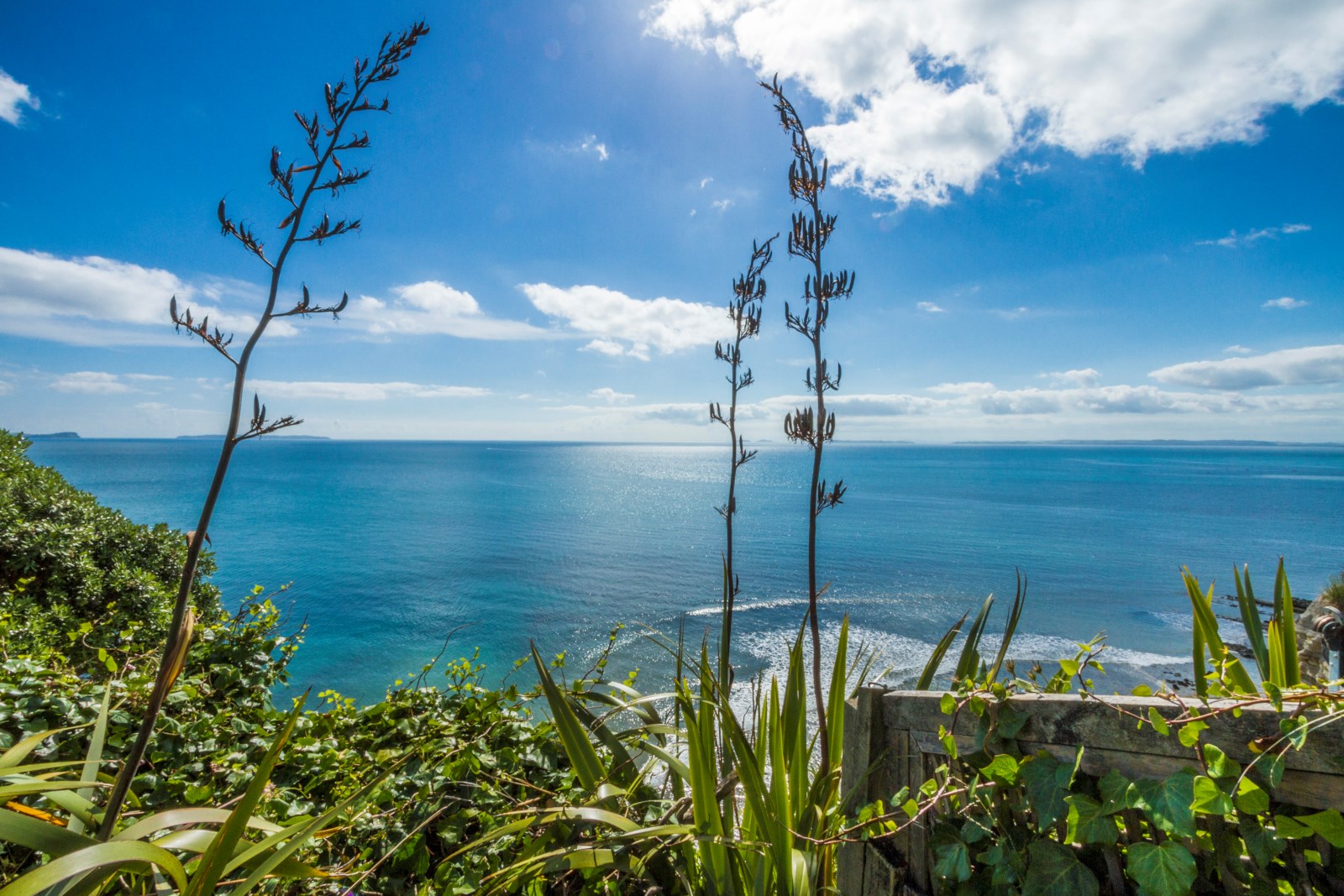 62 Cliff Road, Torbay, Auckland - North Shore, 3房, 2浴