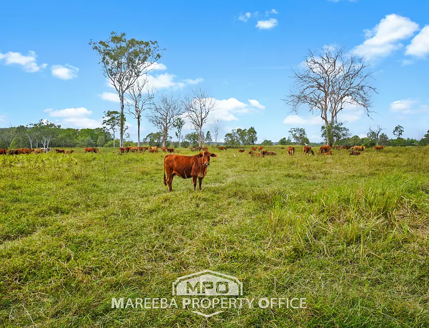 LOT 150 & 154/764 Hodzic Road, Biboohra, Far North, 0 Kuwarto, 0 Banyo, Lifestyle Property