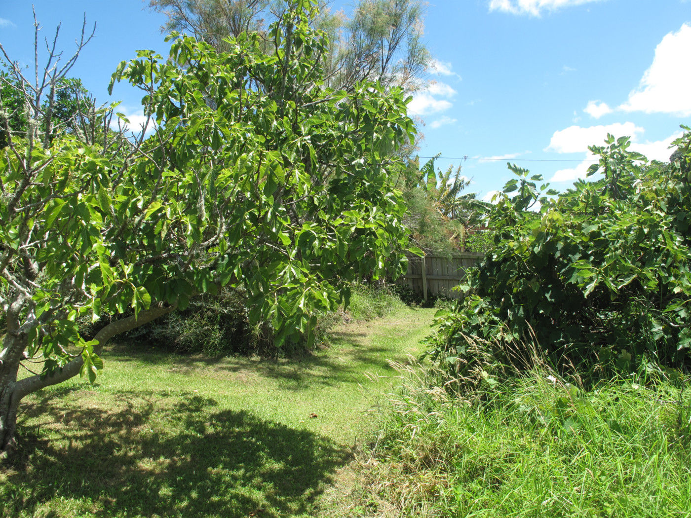 2035 Ngunguru Road, Ngunguru, Whangarei, 3 ਕਮਰੇ, 0 ਬਾਥਰੂਮ