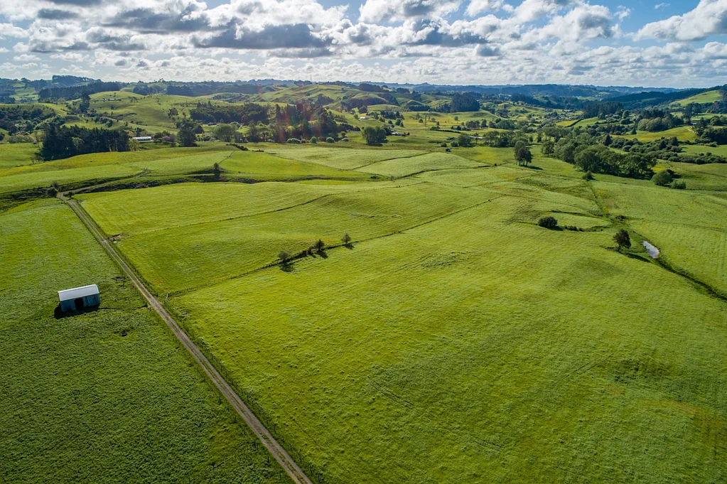 Hunua 73ha Grazing / Dairy Support Farm at the Foot of the Hunua Ranges