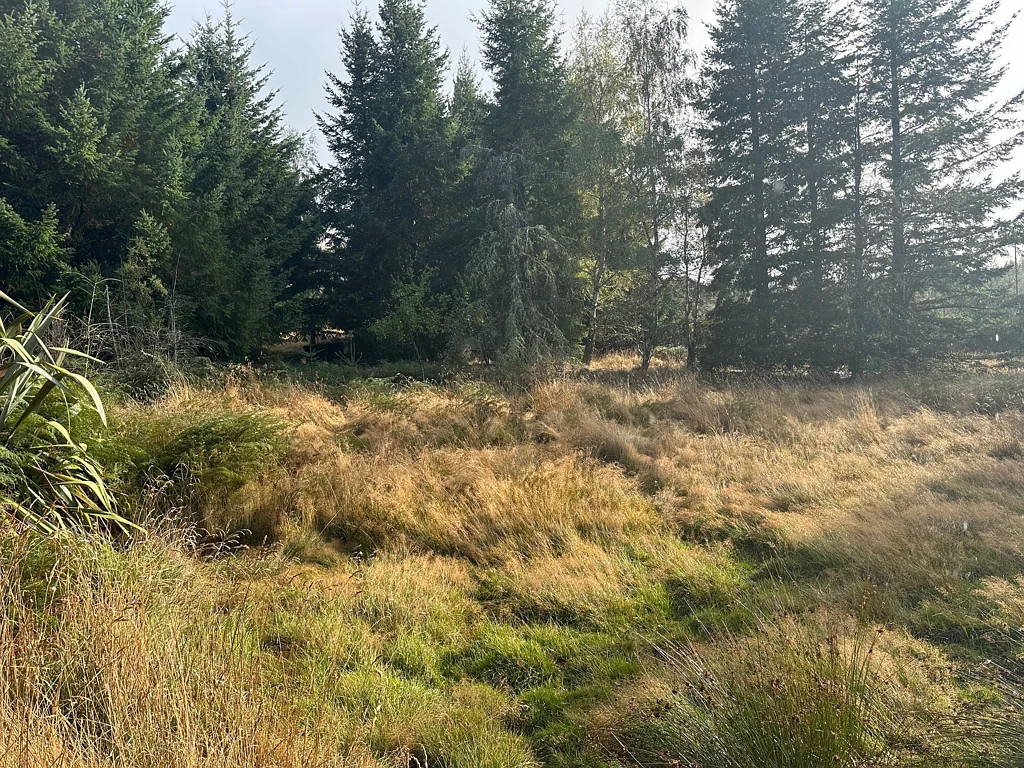 Lyford Nature's Retreat