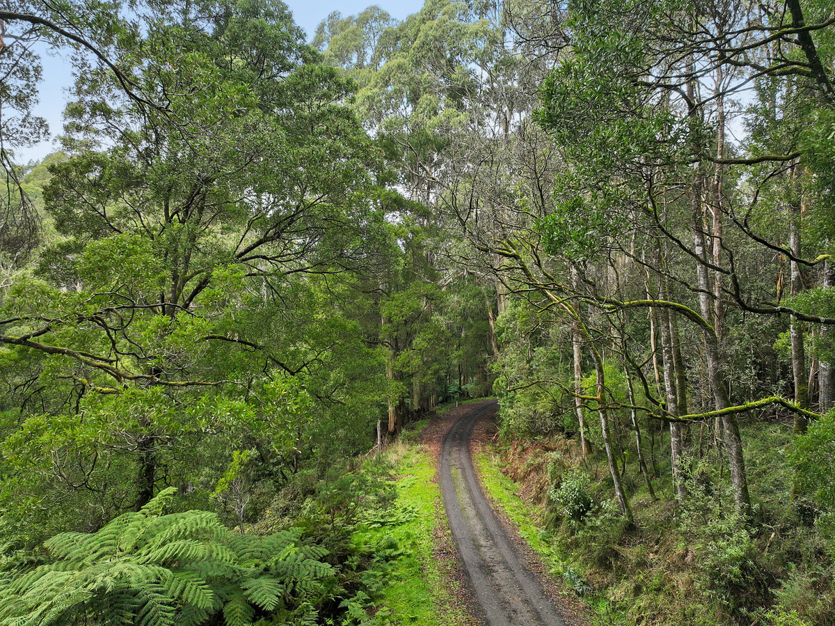 30 CARLISLE VALLEY RD, CARLISLE RIVER VIC 3239, 0 phòng ngủ, 0 phòng tắm, Lifestyle Property