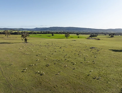  Longwood-Mansfield Road, Creightons Creek, Shepparton, 0 phòng ngủ, 0 phòng tắm, Lifestyle Property