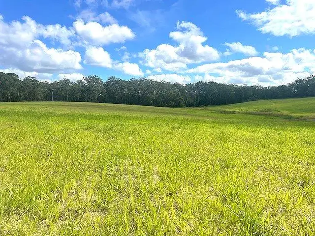 D'Aguilar RARE AS HENS TEETH - PRESTIGE 5 ACRE BLOCKS