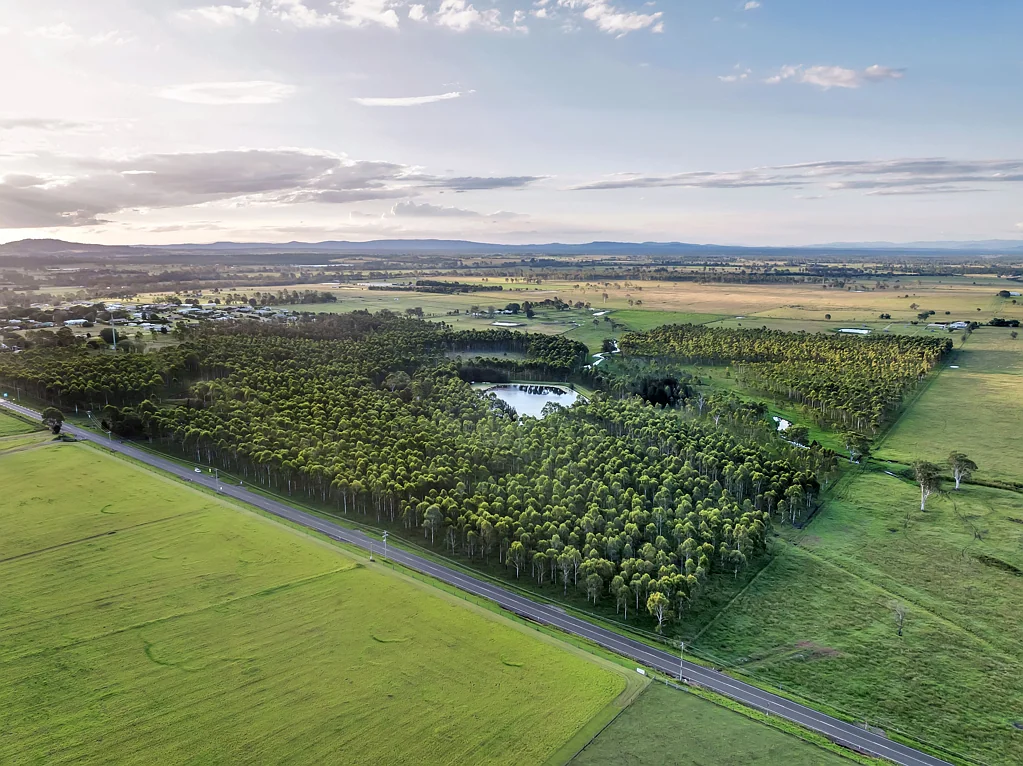 Harrisville Golden Opportunity, 86 Acres of Prime Land with Established Hardwood Trees