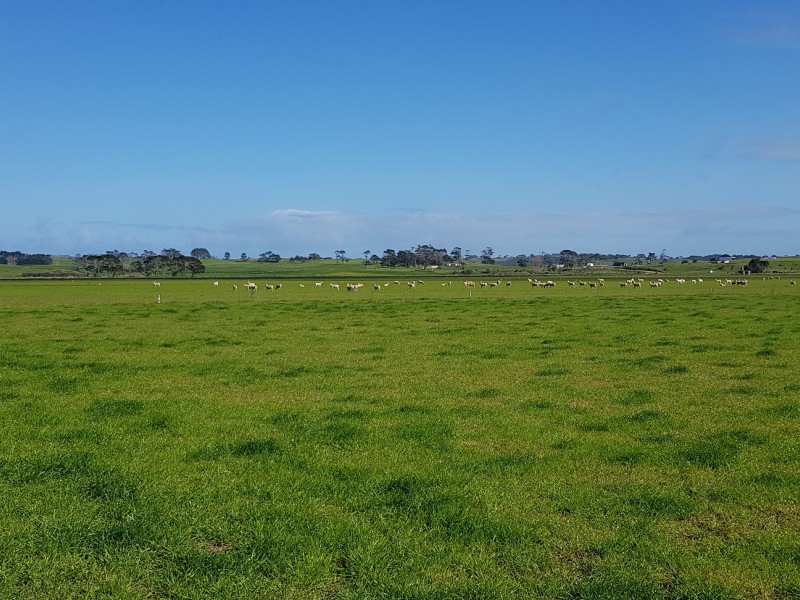 1746 Pouto Road, Te Kopuru, Kaipara, 4 rūma, 0 rūma horoi