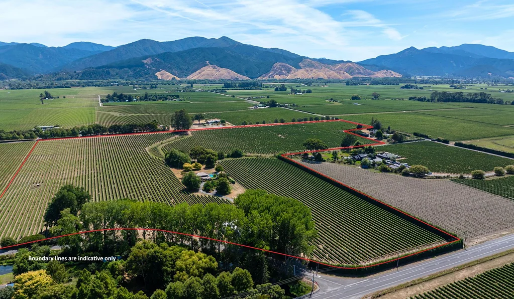 Rapaura Landmark Rapaura vineyard estate