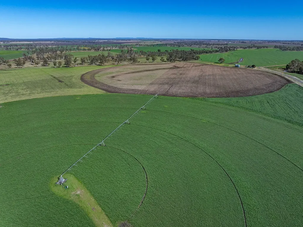 214 Booligar Road, Ellangowan, QLD 4361