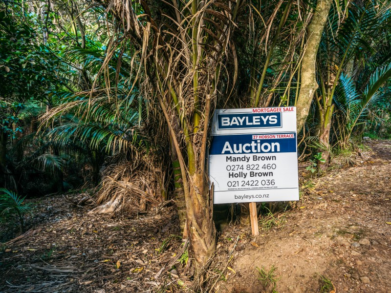 Hauraki Gulf Islands