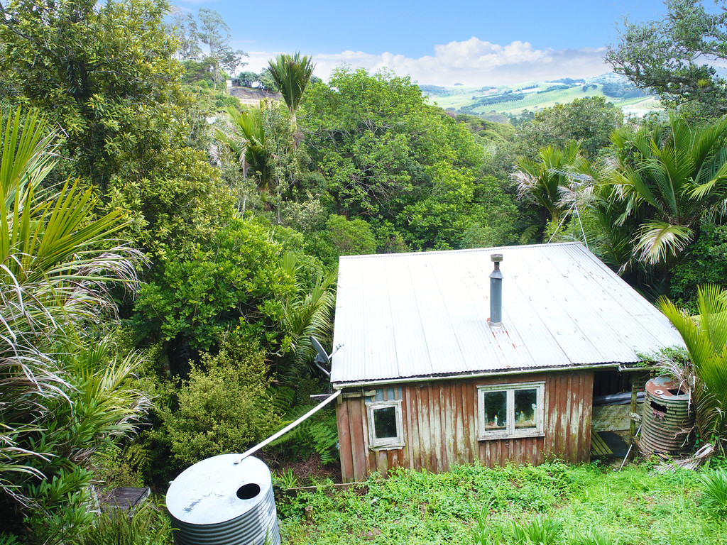 Hauraki Gulf Islands