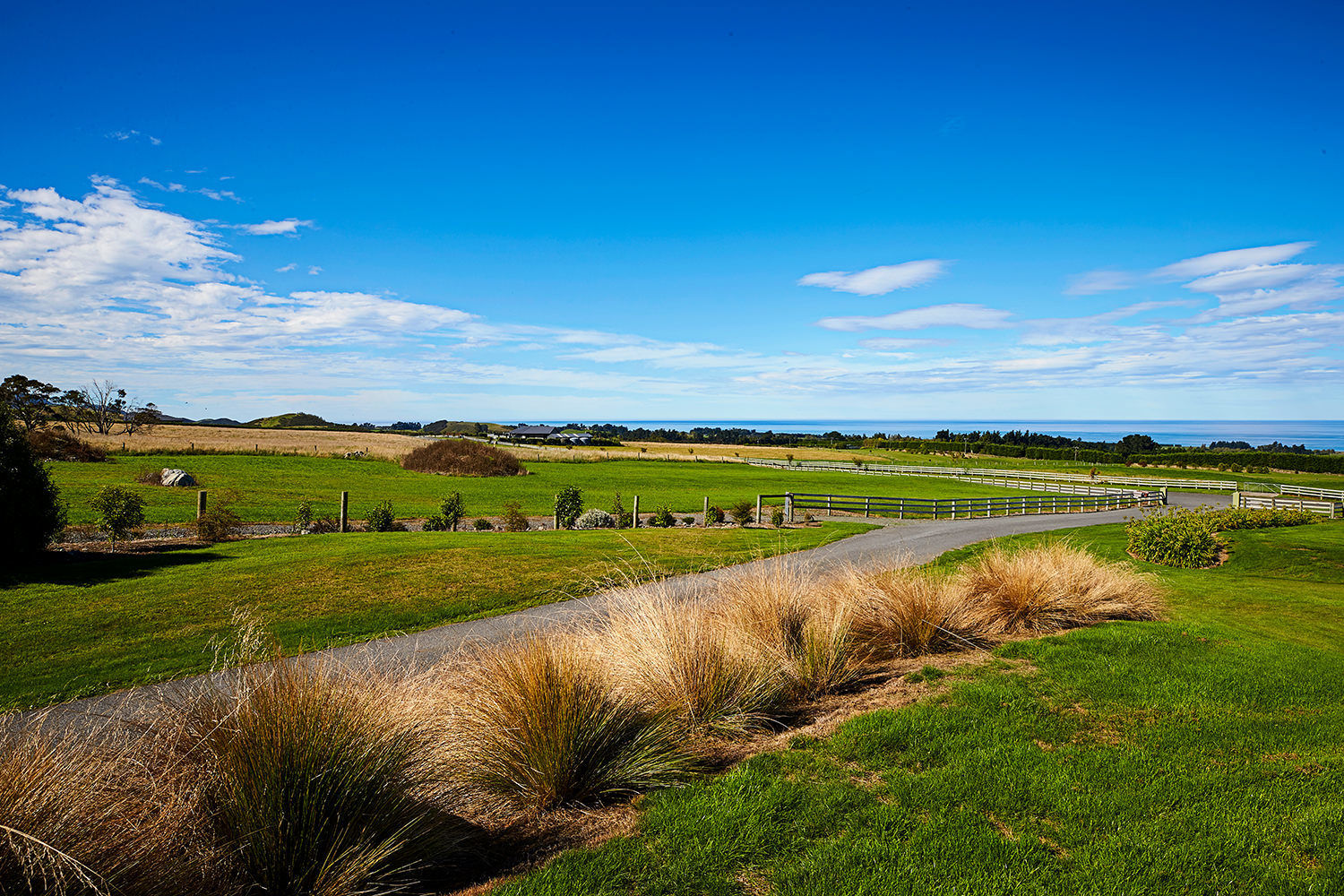 22 Koura Bay Drive, Hapuku, Kaikoura, 1部屋, 0バスルーム