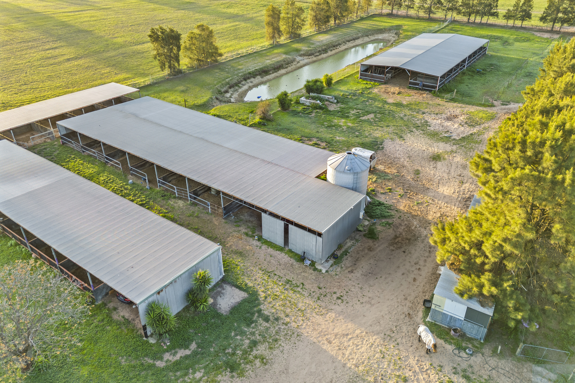 45 HONNIBALL DR, TOCUMWAL NSW 2714, 0房, 0浴, House