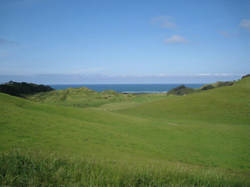 122 Kokonga West Road, Waikaretu, Waikato, 0 habitaciones, 0 baños