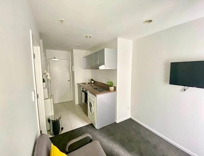 1E/113 Vincent Street, Auckland Central, Auckland City, 1房, 1浴, 整租公寓