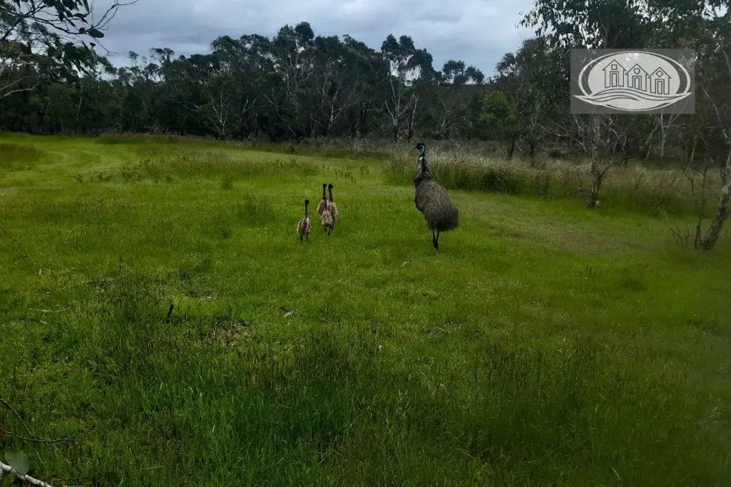 Gorae West Surprise - 9.499 ha Land (Lot 1)