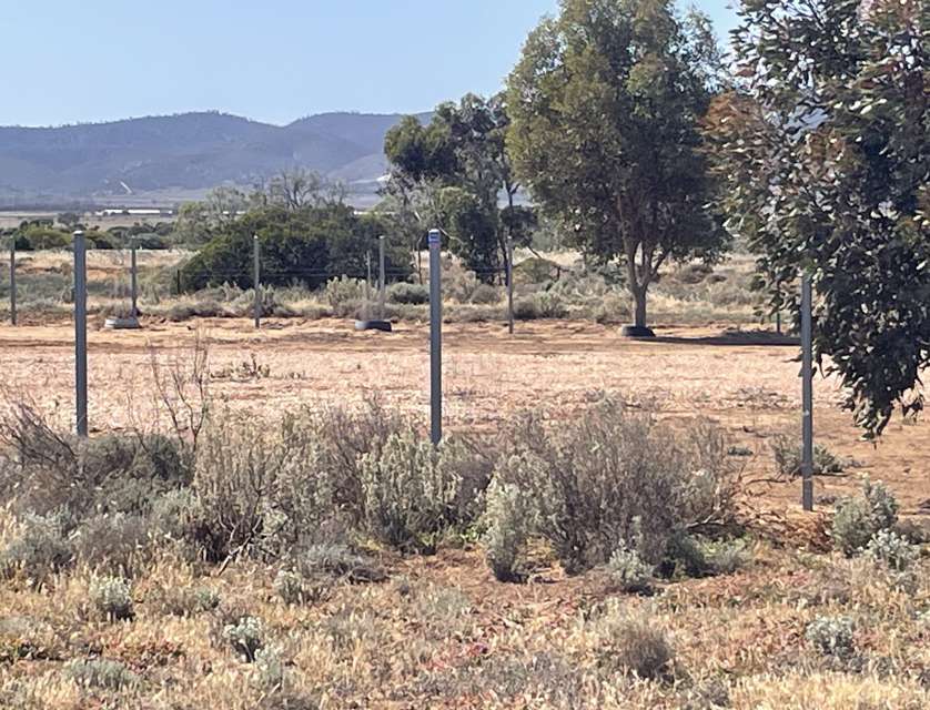 Lots 43,44 Telowie Street, Port Germein, Barossa - Yorke - Mid North, 0 rūma, 0 rūma horoi, Section