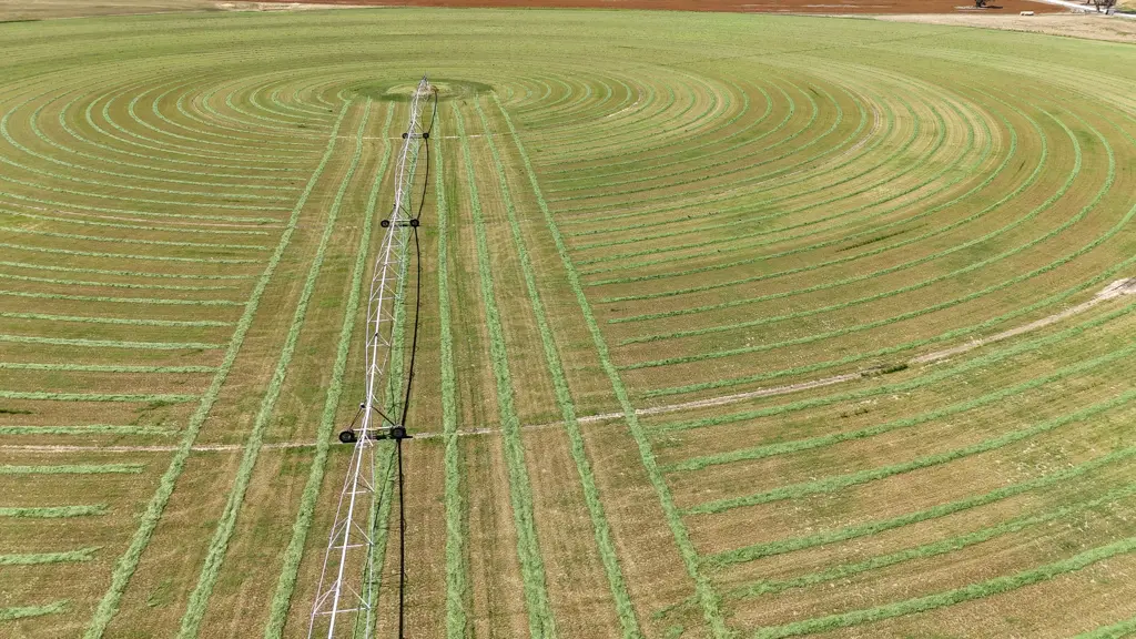Bordertown Intensive Irrigation / Mixed Farming