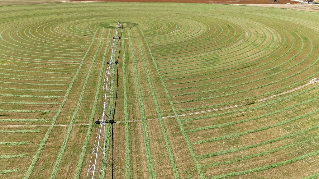 Bordertown  Intensive Irrigation / Mixed Farming