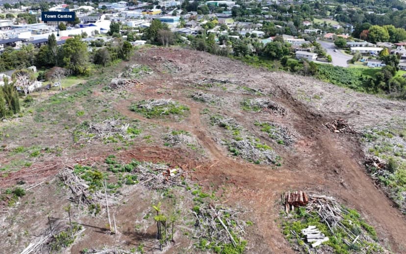 砍光20公顷树木却未建一房 ，开发商将土地原样抛售
