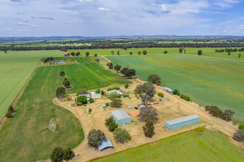 Cowra 160 ACRES OF HIGH QUALITY COWRA FARMING COUNTRY!