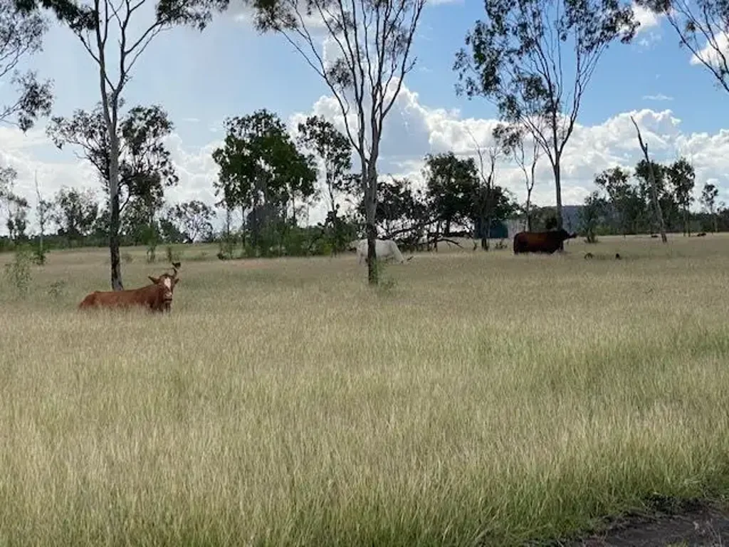 Wycarbah  "Spring Valley " Prime Fattening  Property - Approx 1500 acres - Gracemere Region